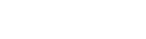 Logo The Original City